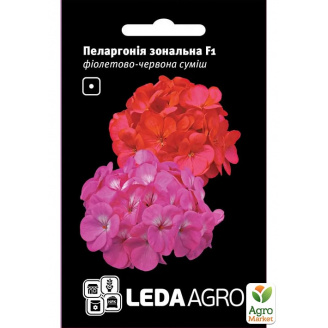 Пеларгония Зональная F1 смесь ТМ Leda Agro 5шт