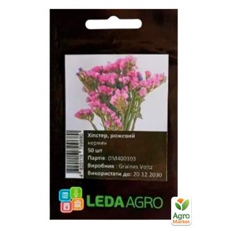 Кермек (статиця) Хіпстер рожевий ТМ Leda Agro 50шт
