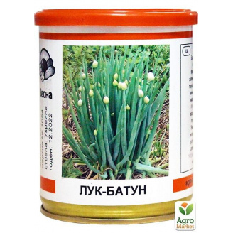 Цибуля Батун (у банку) ТМ Весна 100г