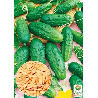 Огурец Малыш (Зипер) ТМ Весна 1.5г