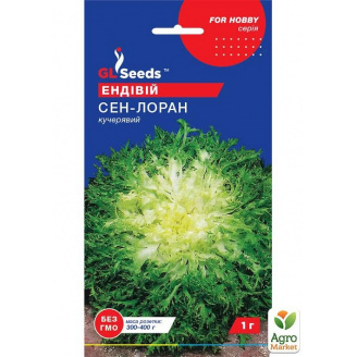 Салат Эндивий Сен-Лоран ТМ GL SEEDS 1г