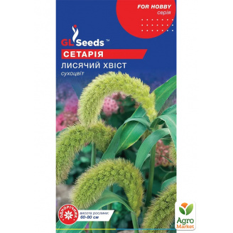 Сетарія Лисий хвіст ТМ GL SEEDS 1г