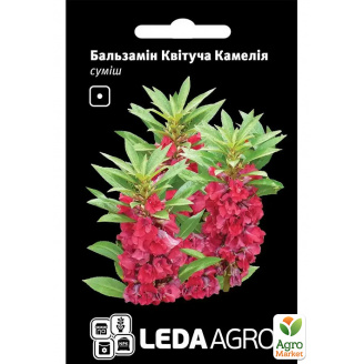 Бальзамин Цветущая Камелия смесь ТМ Leda Agro 0,5г