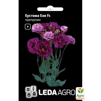 Эустома Эхо F1, пурпурная ТМ Leda Agro 5шт