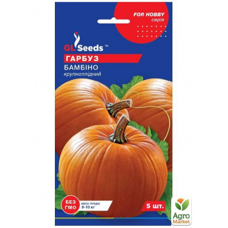 Тыква Бамбино ТМ GL SEEDS 5шт