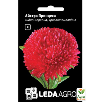 Астра Принцесса медно-красная ТМ Leda Agro 0,2г