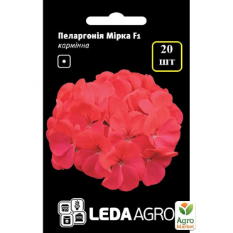 Пеларгония Мирка F1 ТМ Leda Agro 5шт