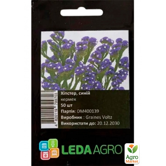 Кермек (статиця) Хіпстер синій ТМ Leda Agro 50шт