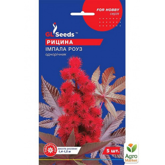 Клещевина Импала Роуз ТМ GL SEEDS 5шт
