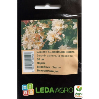 Бегонія Шансон F1 ванільно-жовта ТМ Leda Agro 50шт