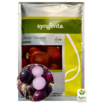 Лук Дарко F1 ТМ Syngenta 50000шт