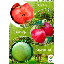 Дерево-сад Яблоня Ред Сан+Дискавери+Симиренко