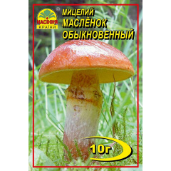 Мицелий грибов Насіння країни Масленок 10 г Новая Прага