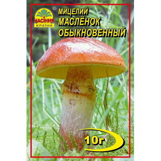 Мицелий грибов Насіння країни Масленок 10 г