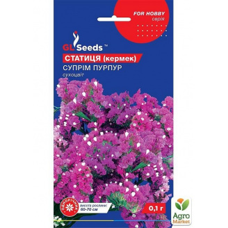 Статица Суприм Пурпур ТМ GL SEEDS 0.1г