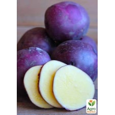 Картофель семенной «Фиолетик» (1-я репродукция), 1 кг