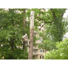 Удаление деревьев частями Киев