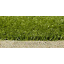 Искусственная трава Limonta Tango Turf E20 для универсальных площадок Цумань