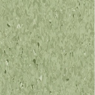 Лінолеум TARKETT iQ EMINENT 3040 426 2*25 м зелений