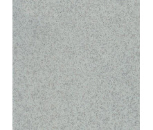 Лінолеум TARKETT PRISMA Stella 7 2*23 м сірий