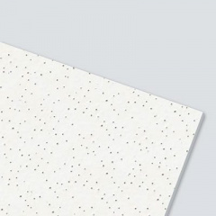 Панель подвесного потолка AMF System F свободная ширина Thermatex Star Кропивницкий