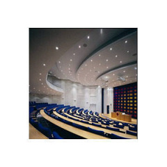 Перфорована плита гіпсова звуковбирна Danoline Globe 600x600x9,5 мм Київ