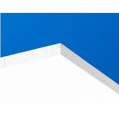 Акустична панель стельова Ecophon Wallpanel C 2700*600 мм Косів