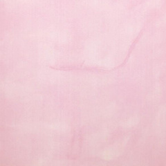 Пластикова панель Welltech лакована RU-6 рожева (35871) Ізюм