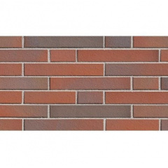 Клінкерна плитка ABC Klinkerguppe Altona rot-bunt 365*52*10 мм (2102-L) Черкаси