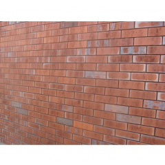 Клинкерная плитка ABC Klinkerguppe Wittenburg 240*71*15 мм (BR 1875) Ужгород