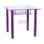 Стол обеденный AMF Рио 800х800х750 мм фиолетовый Хмельницкий