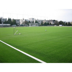 Искусственные поля для футбола Тернополь