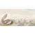 Плитка керамическая BELANI Декор Ракушка 5 25х50 см бежевый