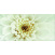 Декор Opoczno Diago inserto flower В 297х600 мм