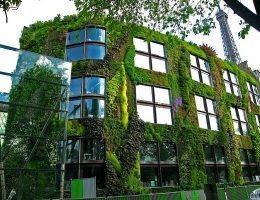 Зелене будівництво в моді: У США різко виріс попит на будинки побудовані за «зеленим» стандартом