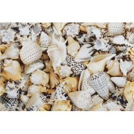 Декор Opoczno Nizza shells inserto A 300х450 мм