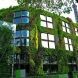 Зеленое строительство в моде: В США резко вырос спрос на дома построенные по «зеленому» стандарту 