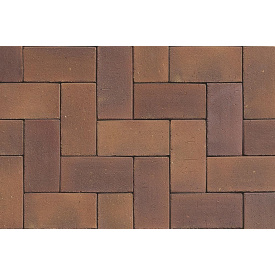 Тротуарная клинкерная плитка АВС-Klinkergruppe Herbstlaub 200х100х52 мм (L PK 07/PK52)