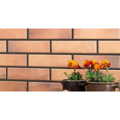 Фасадна клінкерна плитка Cerrad Retro Brick curry 245х65х8 мм Вінниця