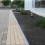 Тротуарна плитка Золотий Мандарин Цегла стандартна 200х100х40 мм персиковий на білому цементі Київ