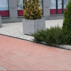 Тротуарна плитка Золотий Мандарин Цегла стандартна 200х100х80 мм на сірому цементі червоний Фастів