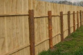 Установка дерев'яного паркану з нефарбованих щитів 2х2 м 25 мм