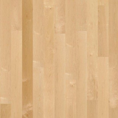 Паркетная доска BOEN Plank однополосная Клен канадский Andante 2200х138х14 мм лак Киев