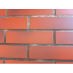 Фасадная плитка клинкерная Paradyz CLOUD ROSA 24,5x6,6 см Тернополь