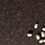 Столешница Caesarstone кварц (4260 - Cocoa Fudge) Житомир