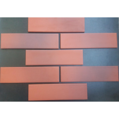 Фасадная плитка клинкерная Paradyz CLOUD ROSA 24,5x6,6 см Тернополь