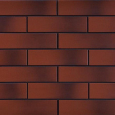 Фасадна плитка Cerrad Rot гладка 245х65х6, 5 мм