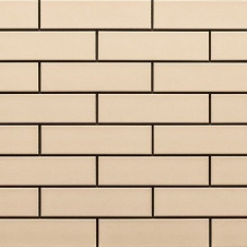 Фасадна плитка Cerrad krem гладка 245х65х6,5 мм