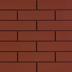 Фасадная плитка Cerrad Rot гладкая 245х65х6,5 мм Ужгород