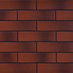Фасадная плитка Cerrad Rot гладкая 245х65х6,5 мм Днепр